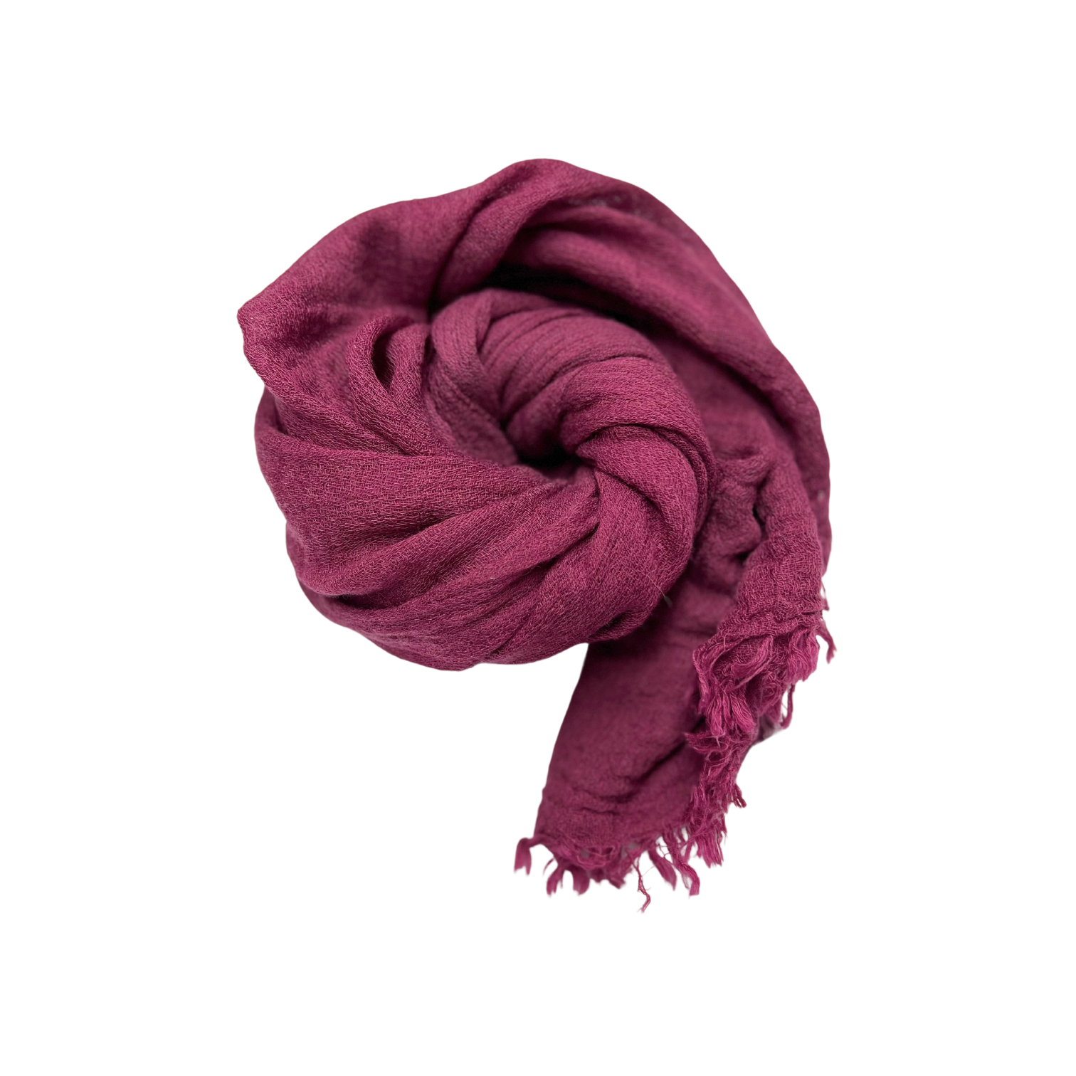 Fusia