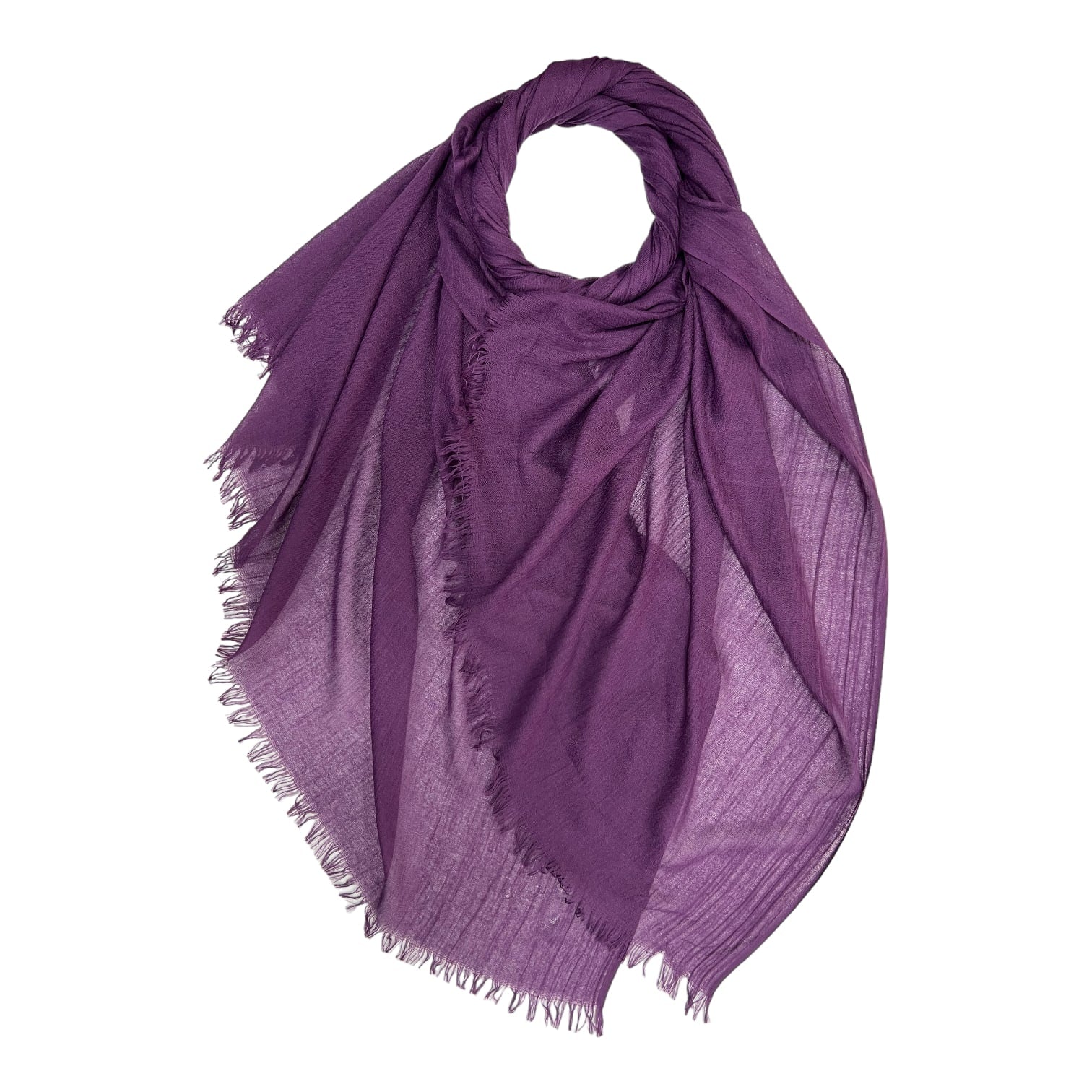 Aubergine